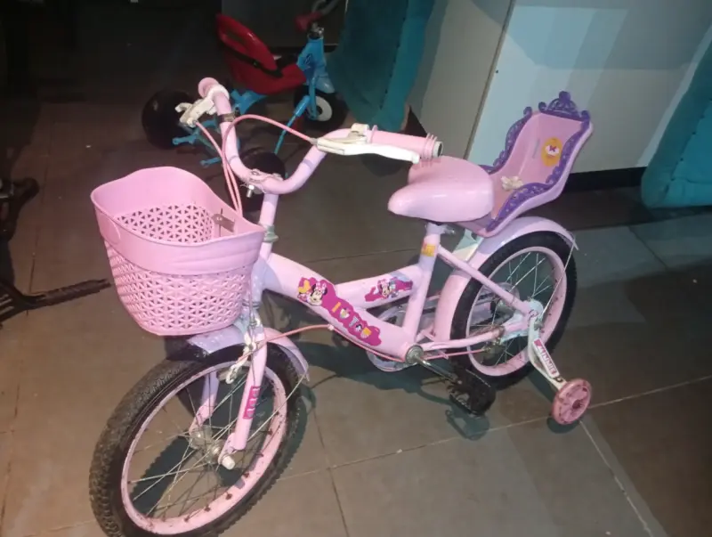 Bicicleta Minnie 🎀 - 1