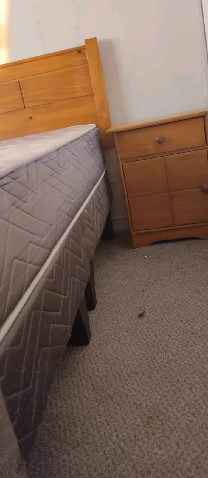 Cama de madera con colchón incluido - 1