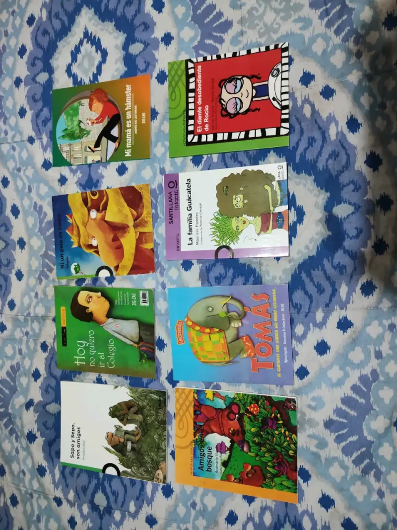 Lote de libros infantiles variados