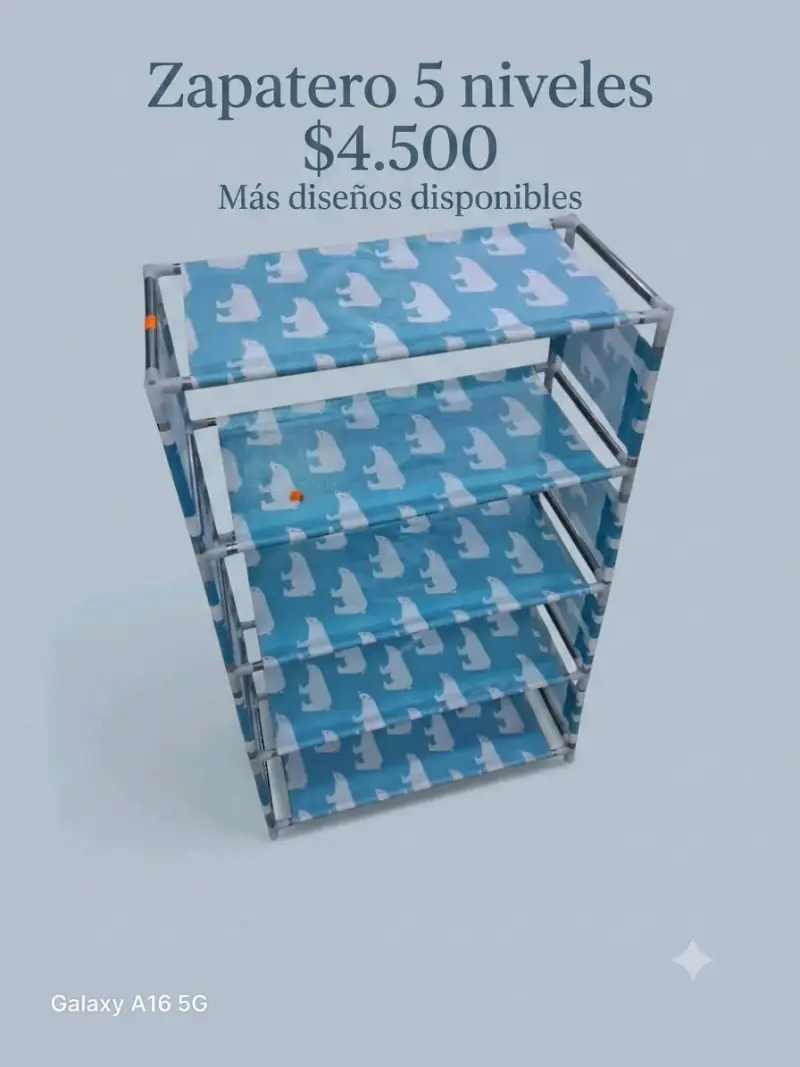 Zapatero de 5 niveles