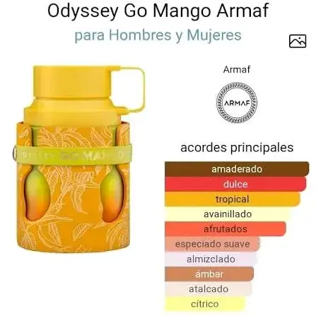 Botella térmica de mango Odyssey - 2