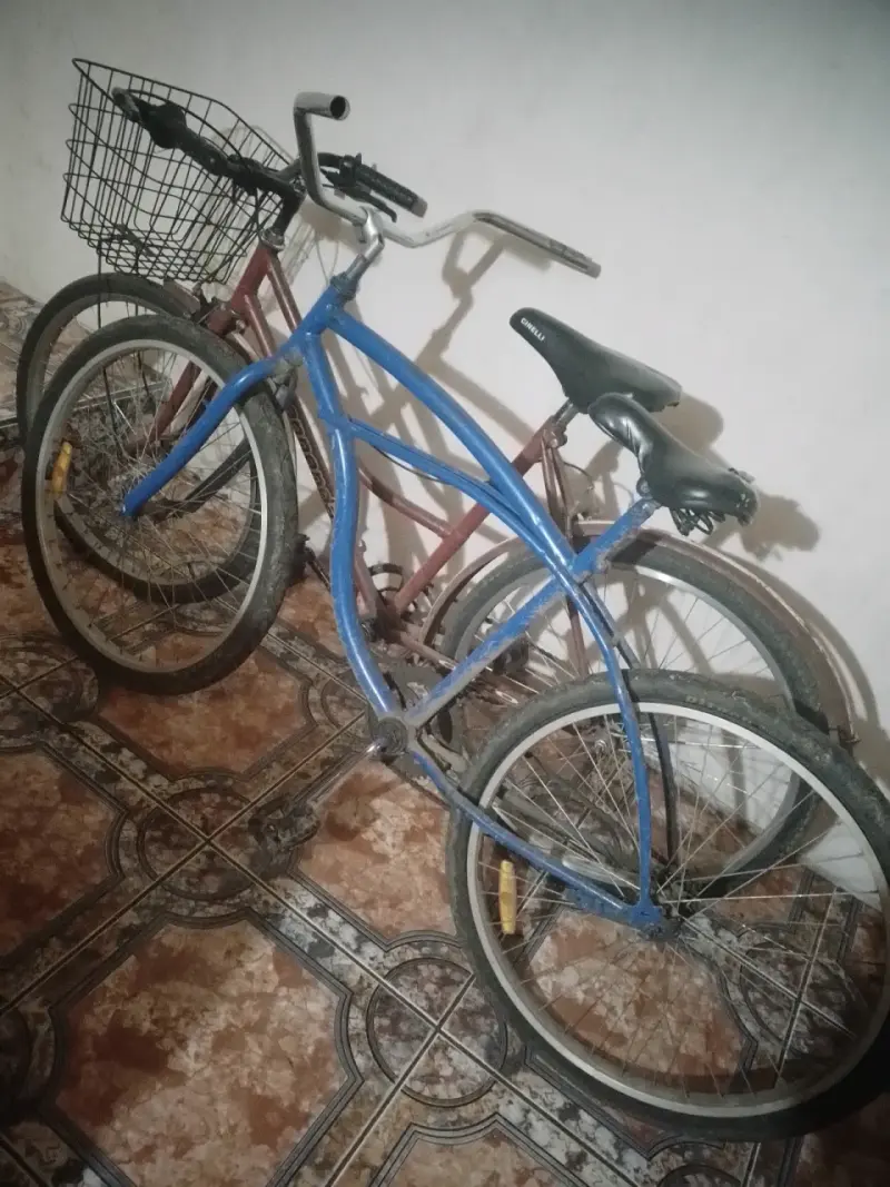 Bicicleta urbana con canasto y asiento cómodo - 1