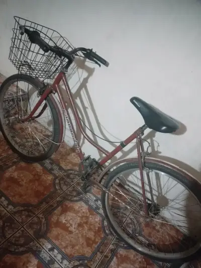 Bicicleta urbana con canasto y asiento cómodo - miniatura 2