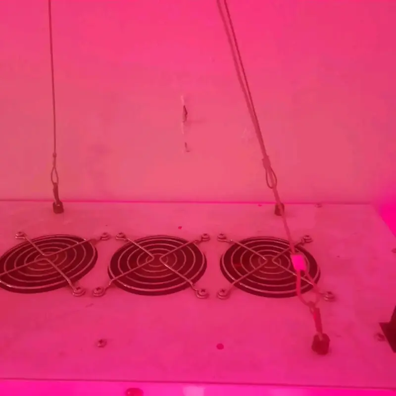 Kit de cultivo indoor completo con carpa y accesorios - 2