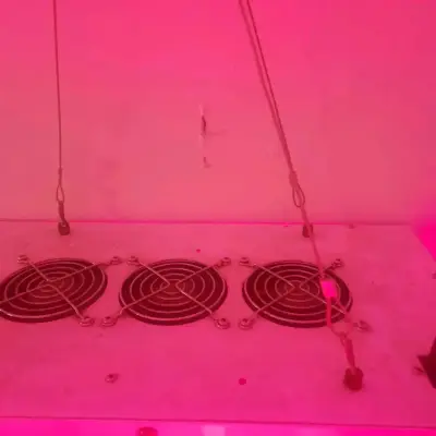 Kit de cultivo indoor completo con carpa y accesorios - miniatura 2