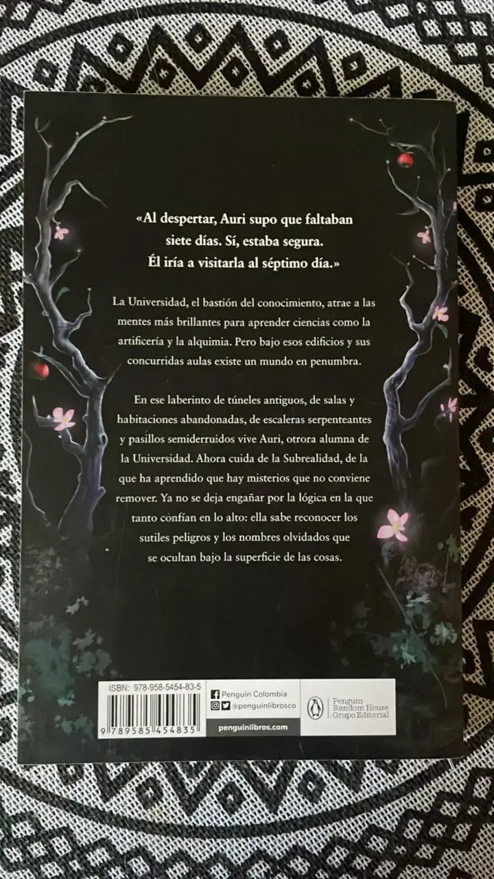 La música del silencio de Patrick Rothfuss - 2