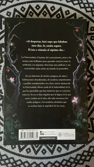 La música del silencio de Patrick Rothfuss - miniatura 2