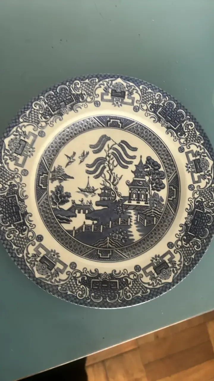 Plato decorativo de porcelana azul y blanco - 1