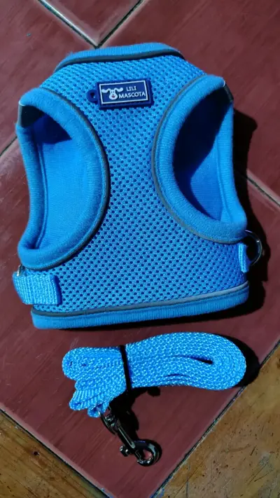 Arnés azul para perro con correa Lili Mascota - miniatura 1