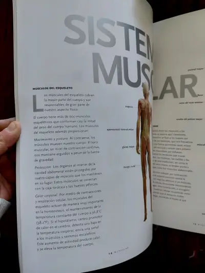 Libro 'Bodies' sobre anatomía humana - miniatura 4