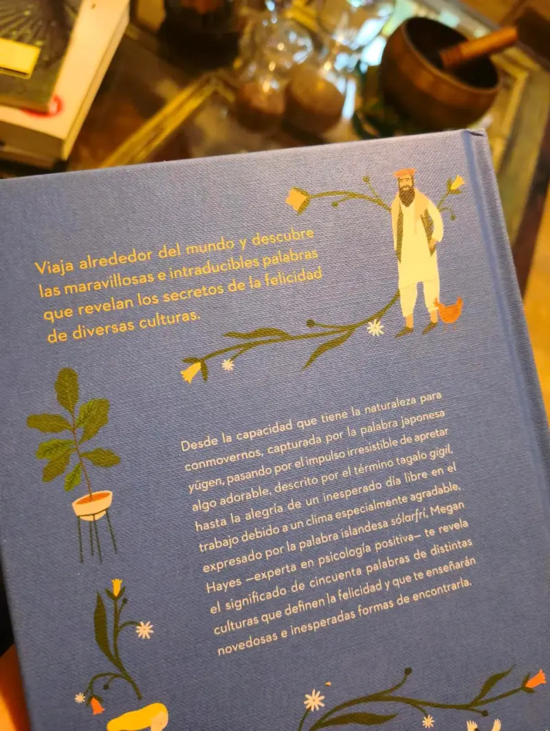 Libro 'Pasaporte a la Felicidad' de Megan C. Hayes - 3