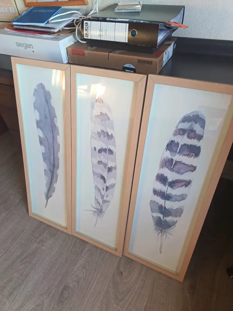Tríptico de cuadros con plumas enmarcadas - 1