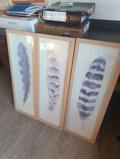 Tríptico de cuadros con plumas enmarcadas - miniatura 1