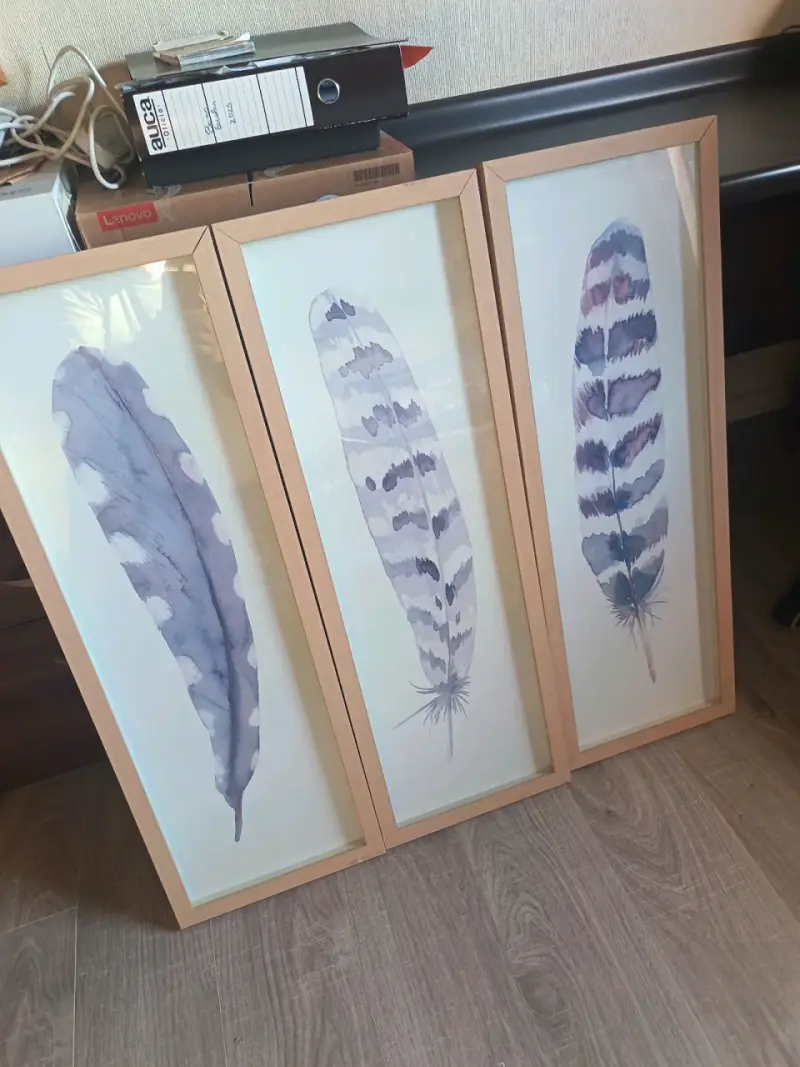 Tríptico de cuadros con plumas enmarcadas - 2