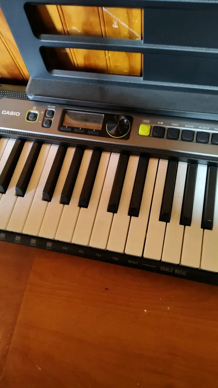Teclado Casio Casiotone LK-S250 - 1