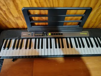 Teclado Casio Casiotone LK-S250 - miniatura 3