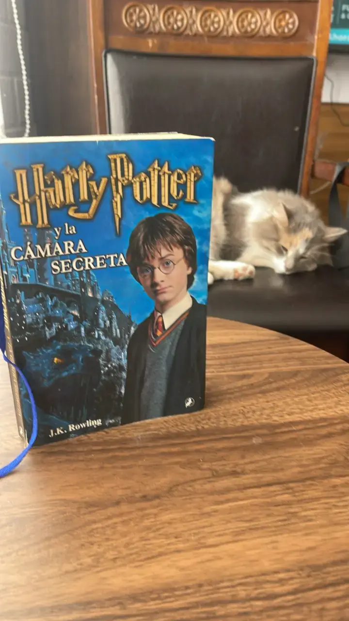 Libro Harry Potter y la Cámara Secreta - 2