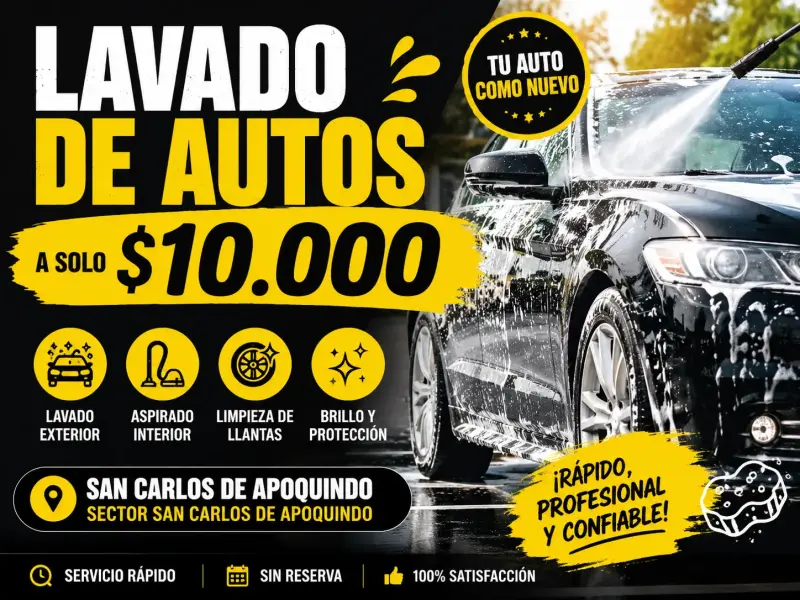 Lavado de autos profesional en San Carlos