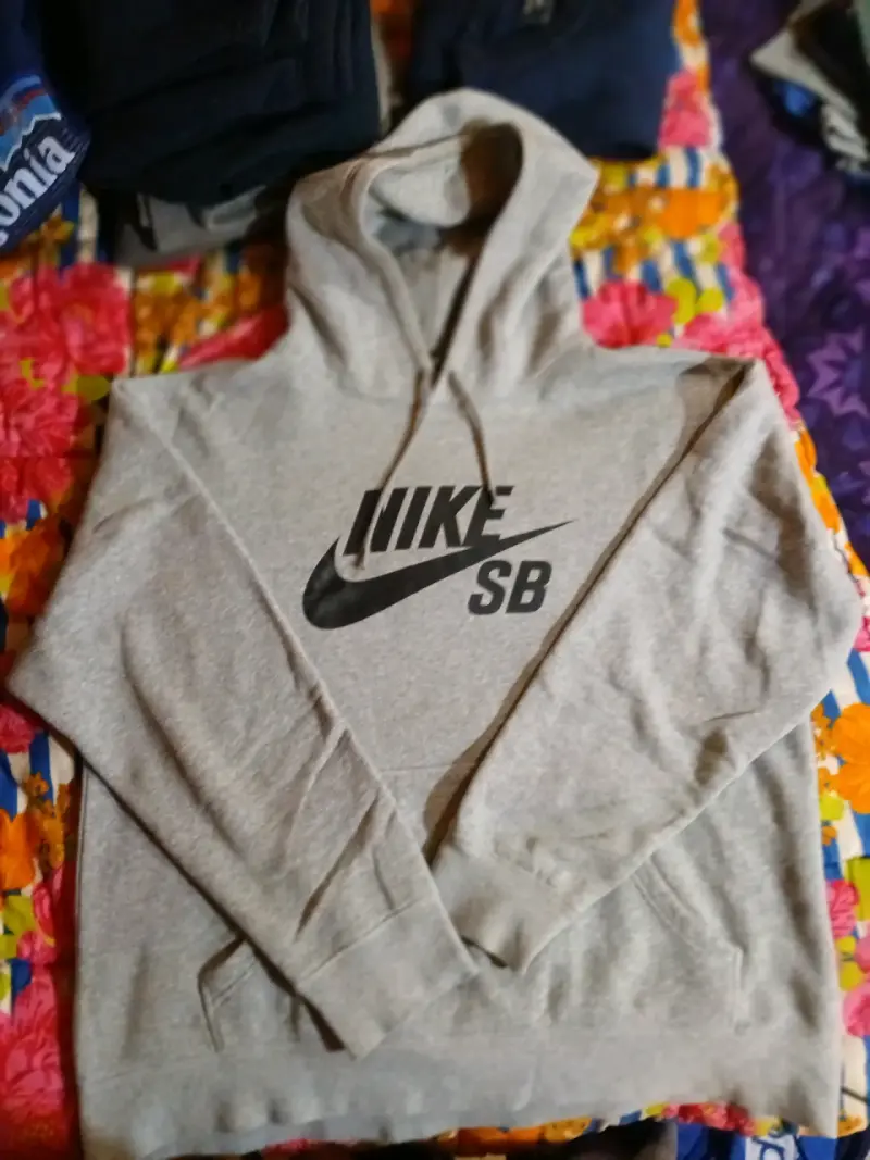Polerón Nike SB gris con capucha - 1