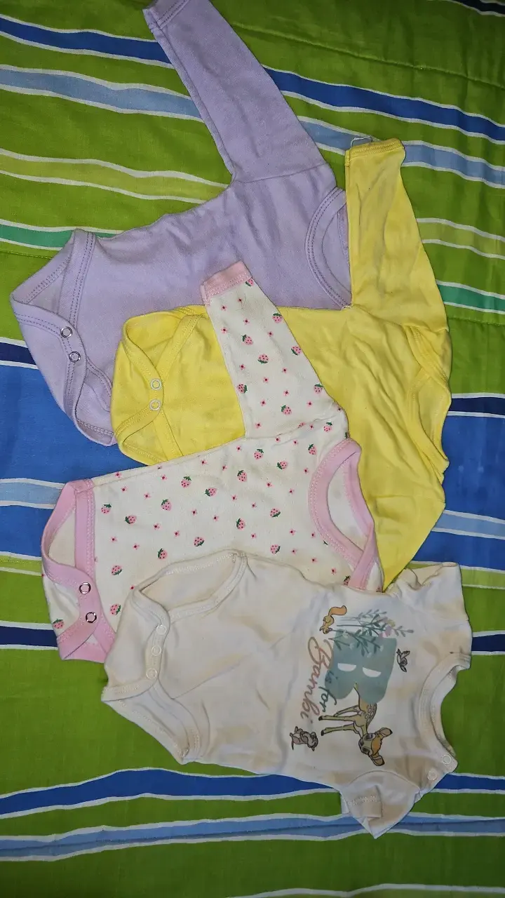 Lote de bodies para bebé en colores variados
