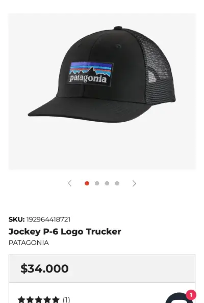 Gorra negra Patagonia con logo bordado - miniatura 2