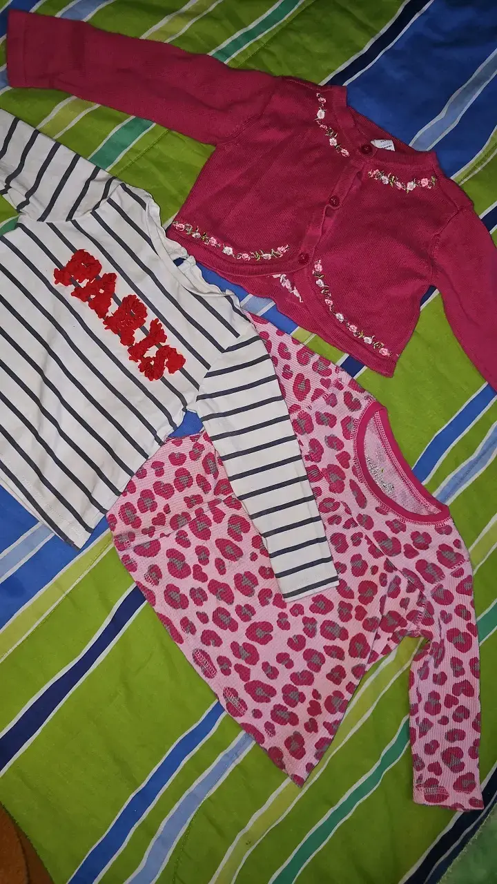 Conjunto de ropa infantil: poleras y chaleco