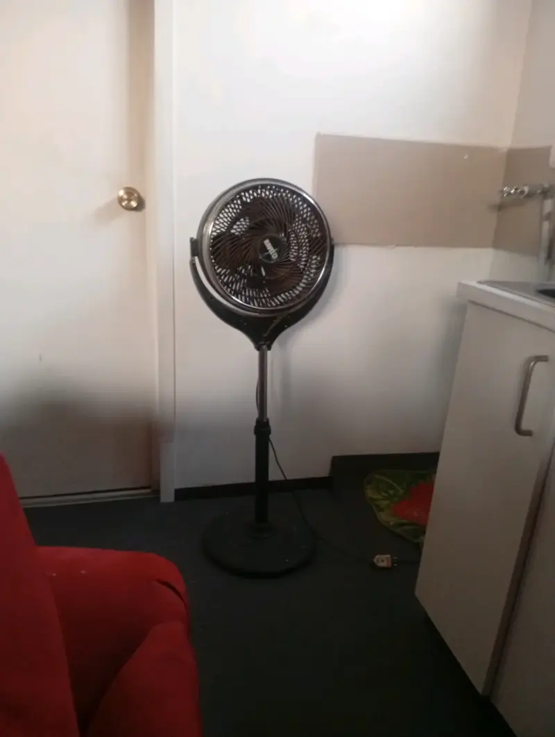 Ventilador de pie negro ajustable