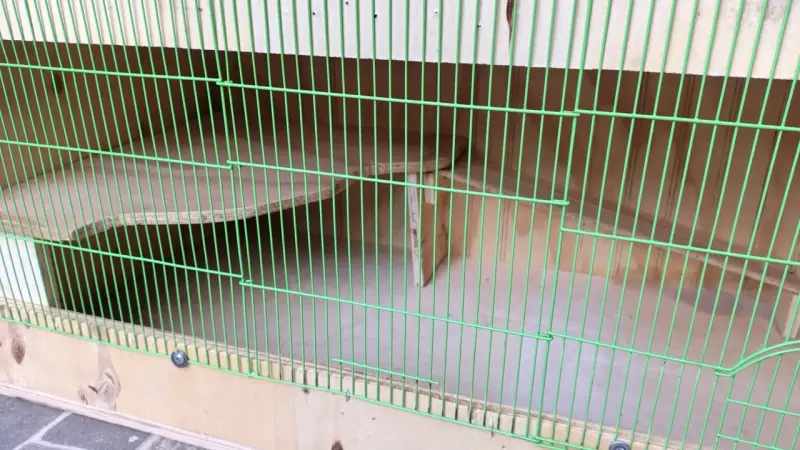 Jaula grande o terrario para hamster o erizo - 3