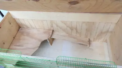 Jaula grande o terrario para hamster o erizo - miniatura 4