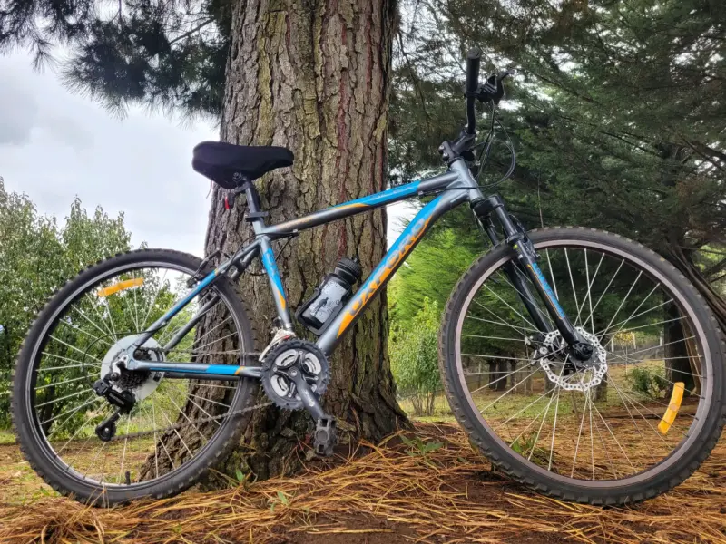 Bicicleta Oxford montaña gris y azul - 1