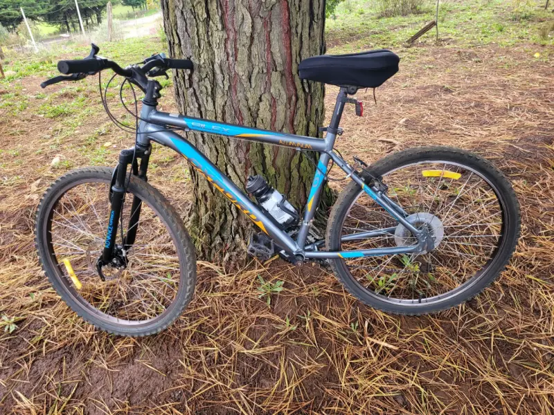 Bicicleta Oxford montaña gris y azul - 3