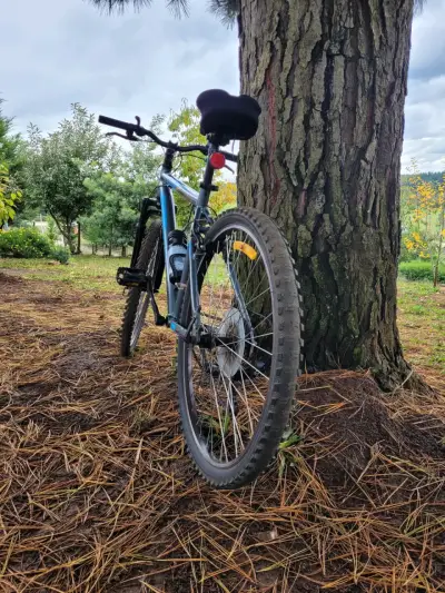 Bicicleta Oxford montaña gris y azul - miniatura 4
