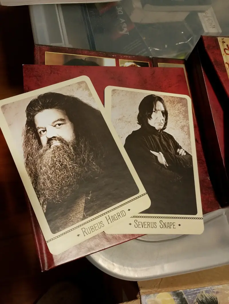 Harry Potter y la Cámara Secreta Edición Ultimate - 4
