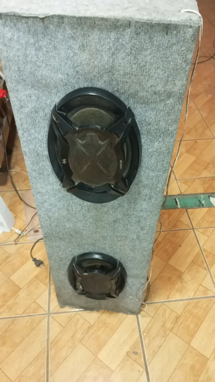 Parlante Sony doble con caja acústica