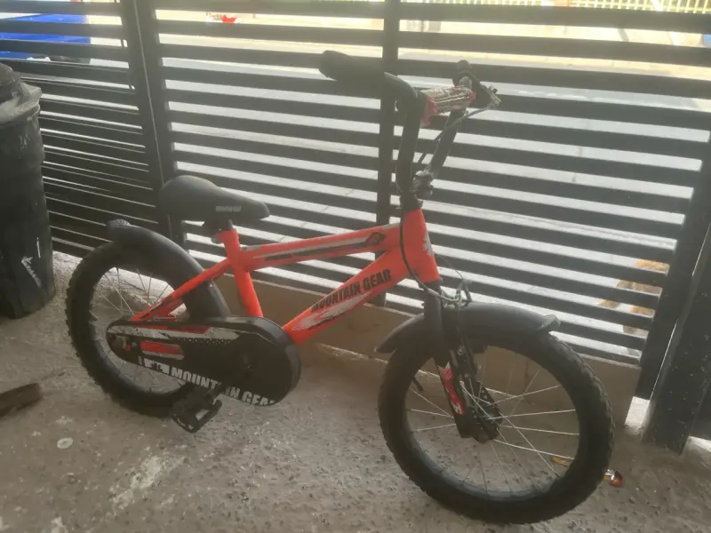 Bicicleta Infantil Mountain Gear Sparrow Aro 16 - 3
