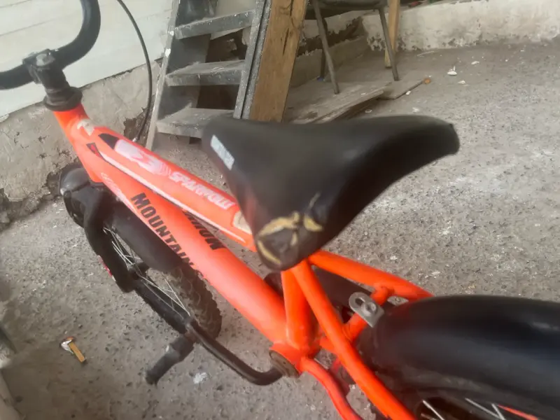 Bicicleta Infantil Mountain Gear Sparrow Aro 16 - 4
