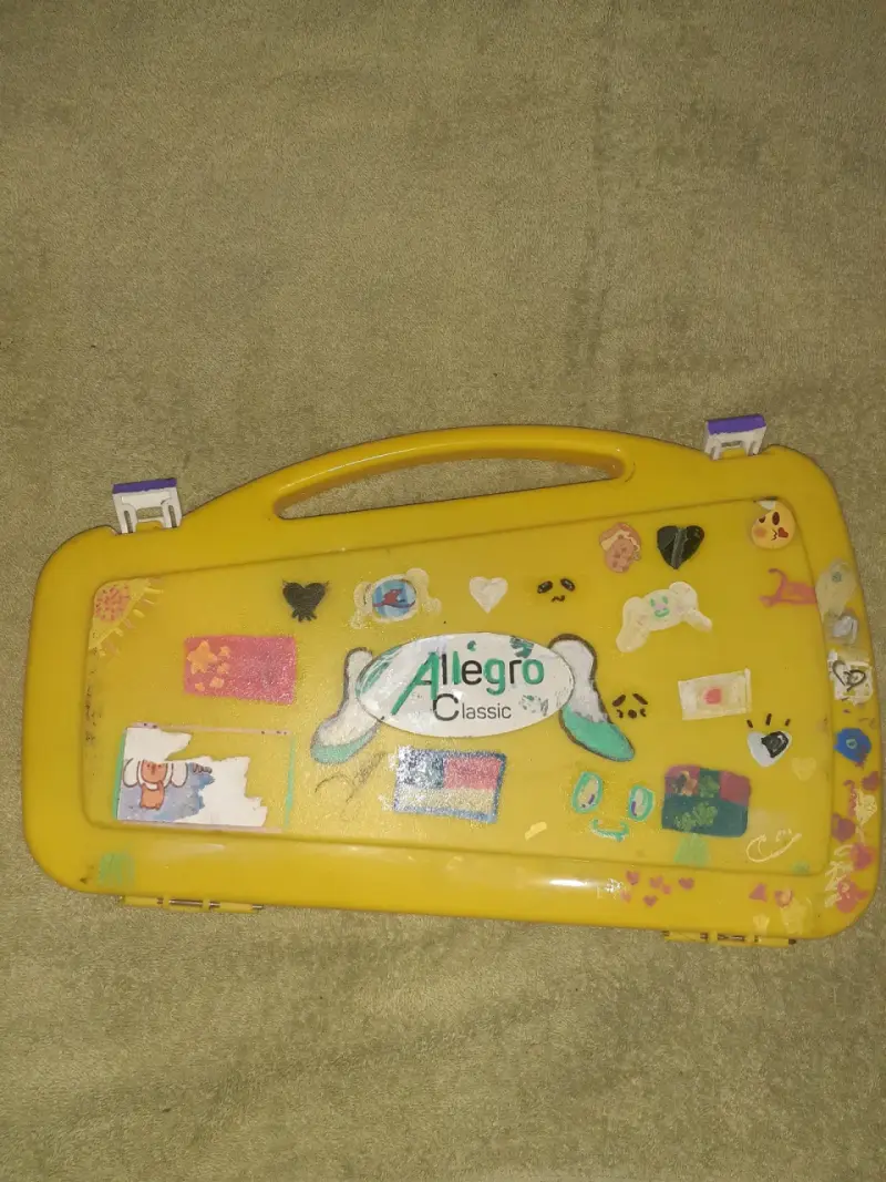 Xilófono infantil de colores con estuche - 2