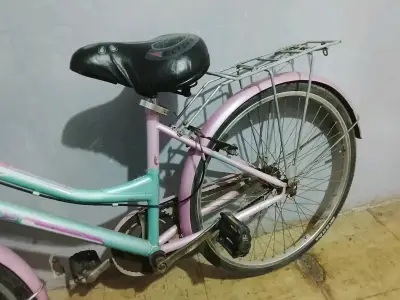 Bicicleta infantil colorida con parrilla - miniatura 1