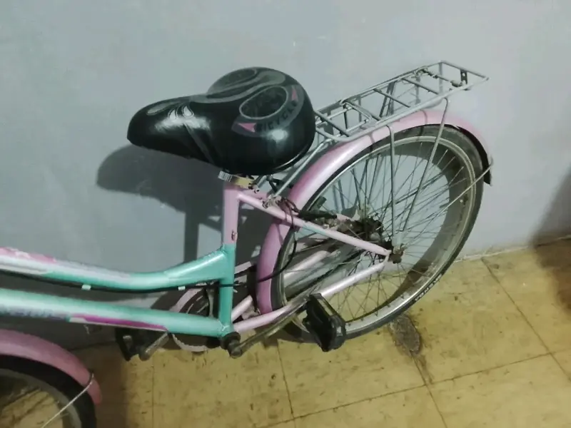 Bicicleta infantil colorida con parrilla - 2