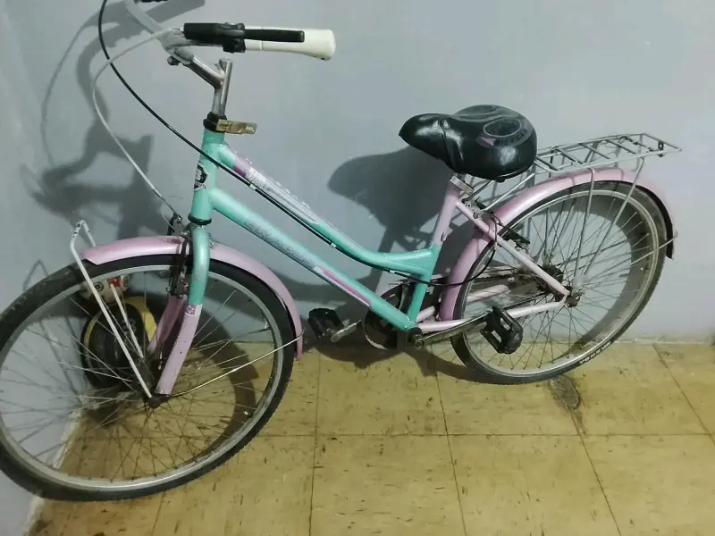 Bicicleta infantil colorida con parrilla - 3