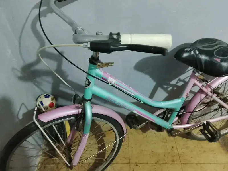 Bicicleta infantil colorida con parrilla - 5