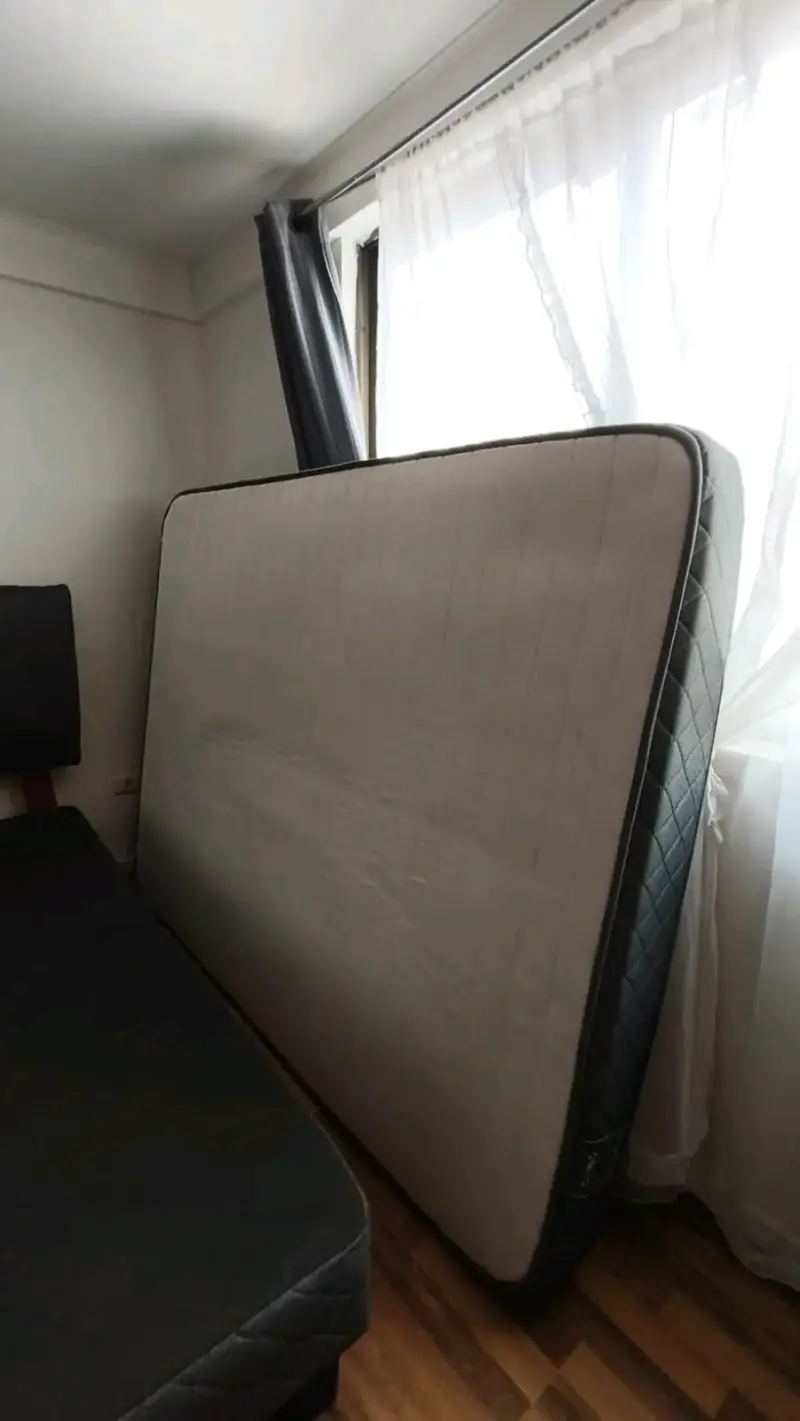 Cama de 2 plazas + respaldo - 4
