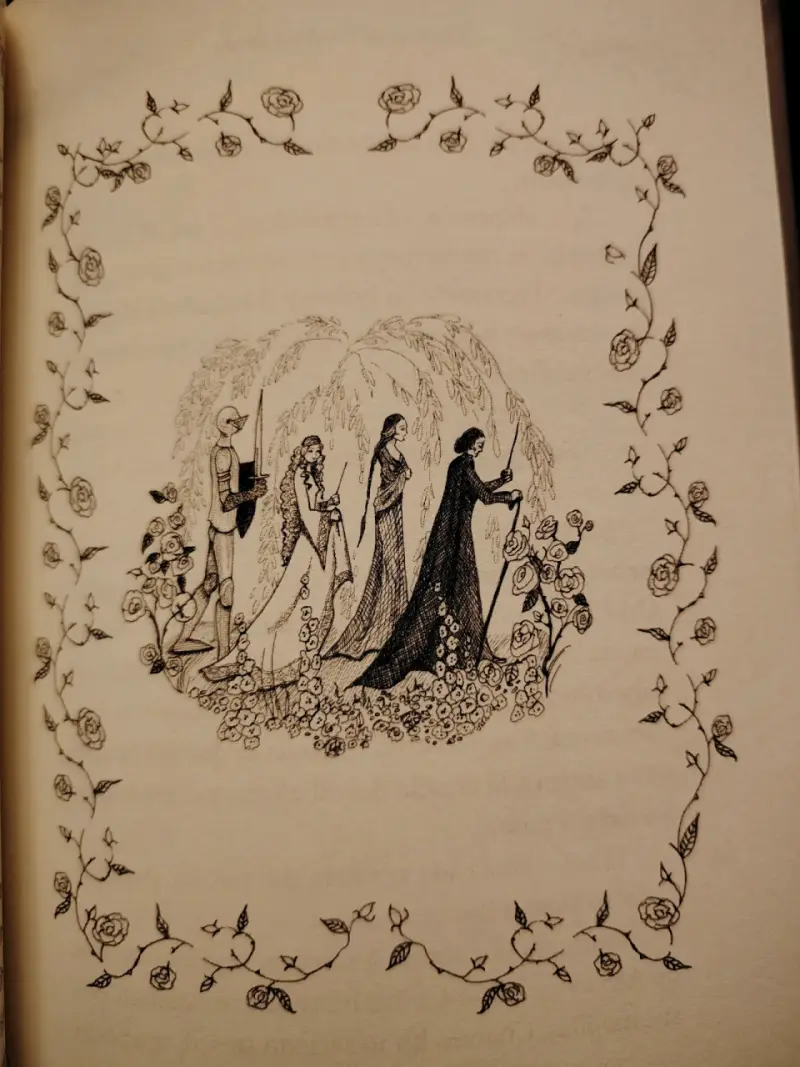 Libro 'Los cuentos de Beedle el Bardo' de J.K. Rowling - 3