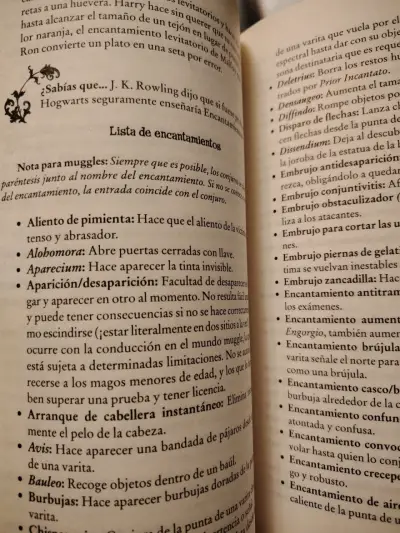 Guía Muggle del Mundo Mágico de Harry Potter - miniatura 3