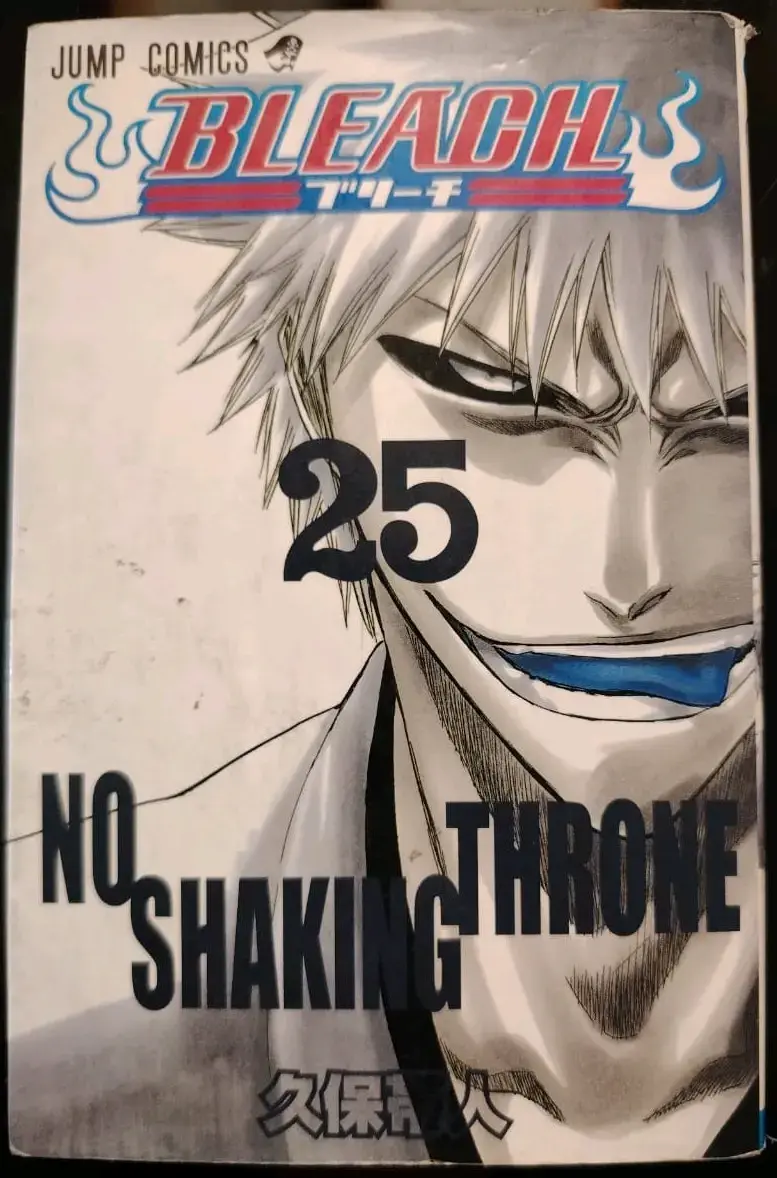 Manga Bleach Volumen 25 No Shaking Throne japones