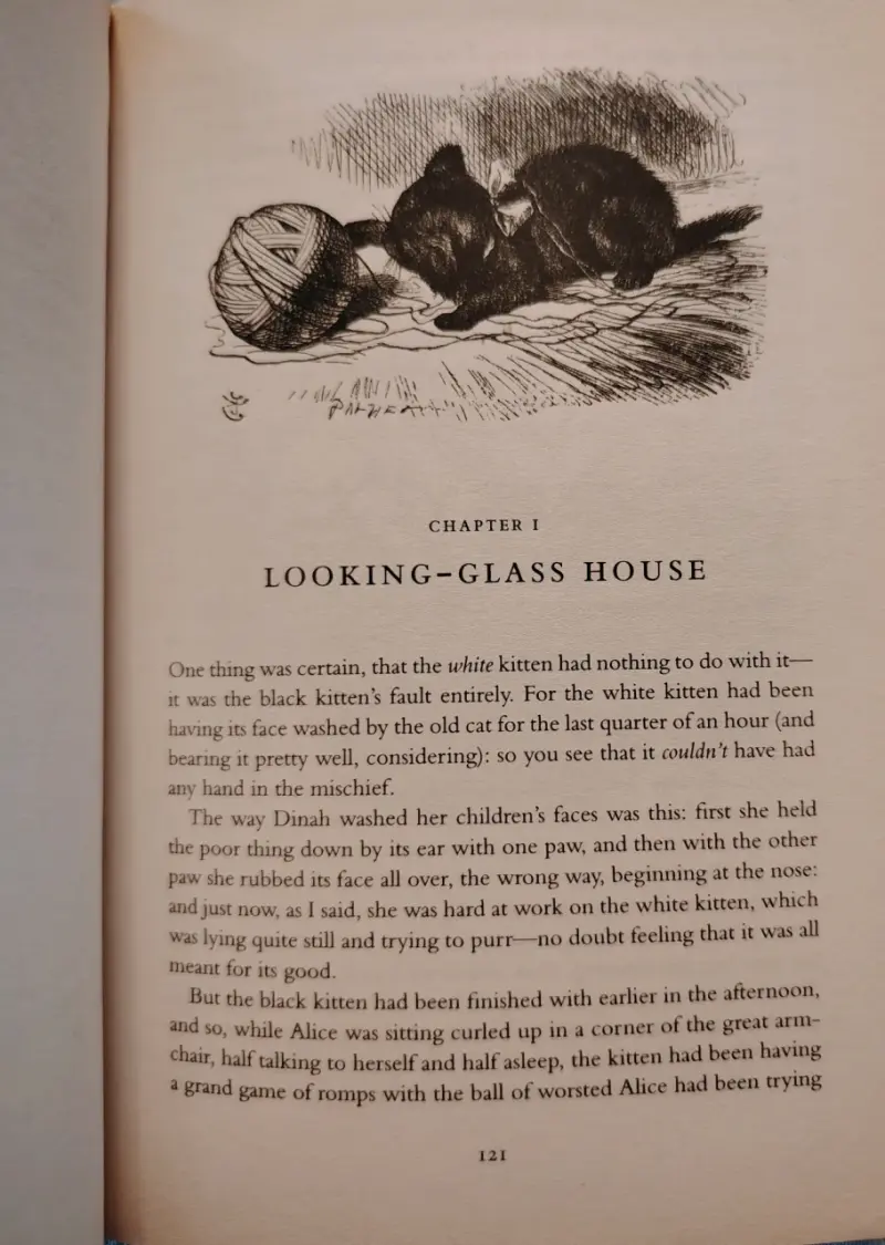Libro clásico 'Alice's Adventures in Wonderland' - 3