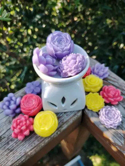 Difusor de aromas con wax melt aromáticos - miniatura 1