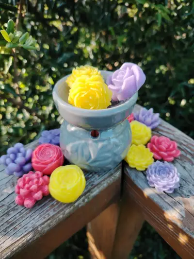 Difusor de aromas con wax melt aromáticos - miniatura 2