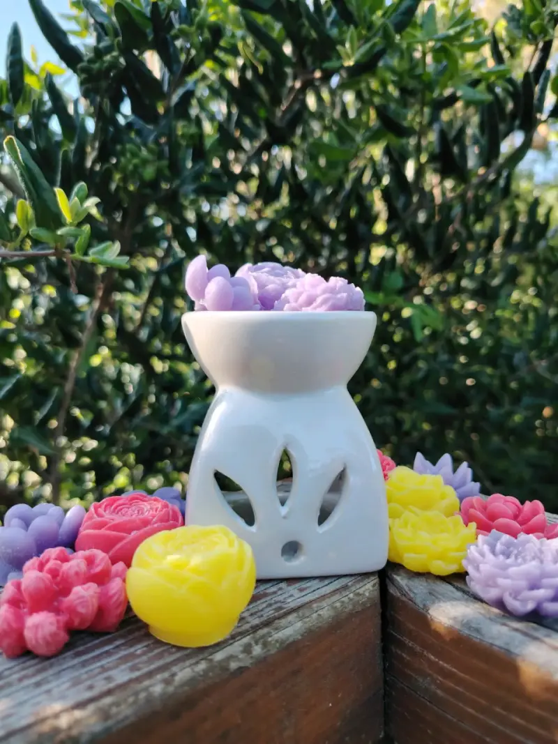 Difusor de aromas con wax melt aromáticos - 4