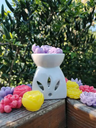 Difusor de aromas con wax melt aromáticos - miniatura 4